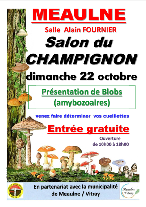 Salon Des Champignons Site De La Commune De Meaulne Vitray